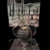 Ceropegia barklyi 連RAR wings 盆 (Ceropegia africana subs. barklyi) 蘿摩 Asclepiadoideae 蘿藦亞科 Ceropegia 吊燈花屬