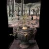 Ceropegia barklyi 連RAR wings 盆 (Ceropegia africana subs. barklyi) 蘿摩 Asclepiadoideae 蘿藦亞科 Ceropegia 吊燈花屬 - Image 6