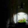 日本BARREL「BARRELLED」 [AMATERAS-10W] 植物補光燈 黑色 - Image 4